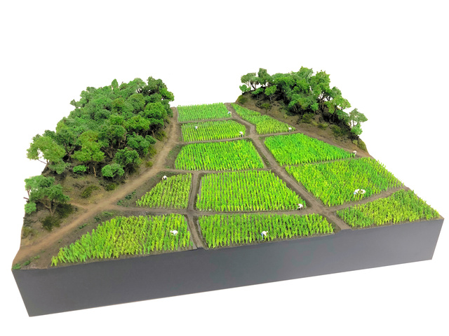 埼玉県上尾市自然学習館の新コーナーで展示されている、「摘田」による稲作の風景を再現したジオラマ模型=上尾市提供