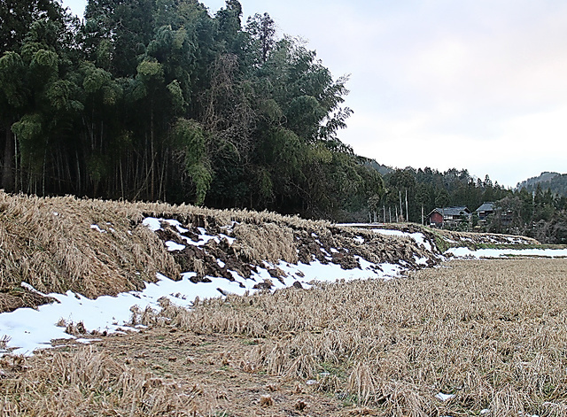 段差ができた田んぼ＝１日、石川県珠洲市若山町