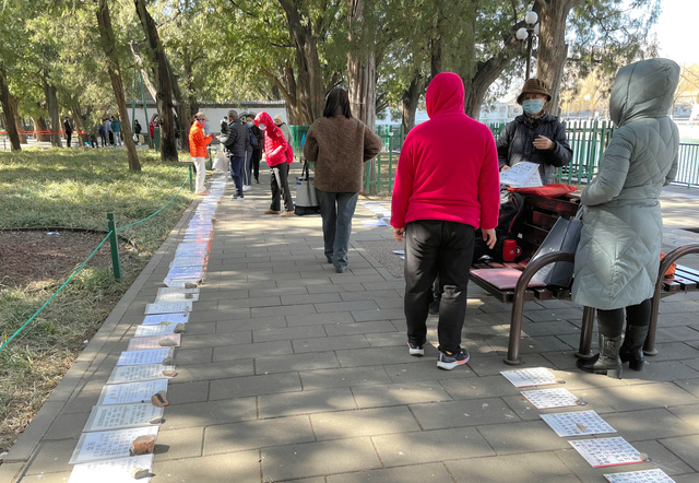 独身の男女を紹介する文言が書かれた紙がずらりと並ぶ北京の中山公園。子どもの結婚相手を探す親らの姿が見られた=2024年3月7日、金順姫撮影