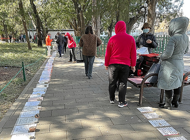 独身の男女を紹介する紙が並ぶ北京の中山公園。子どもの結婚相手を探す親らの姿が見られた＝７日、金順姫撮影