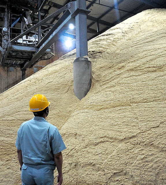 大東糖業で作られた粗糖（原料糖）＝いずれも沖縄県南大東村
