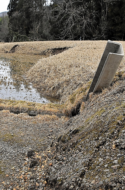 水田に現れた崖。側溝が立ち上がり、くぼんだところに水がたまっている＝石川県珠洲市若山町
