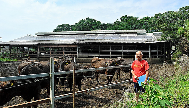 牛舎の屋根に設置した太陽光発電所。新たに出力制御の対象に加えられ、昨年になって急に売電収入が半分近く減った＝２０２３年９月、熊本市東区
