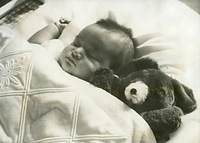 ２月２３日に満１歳を迎える浩宮さまの誕生日のために、宮内庁が公表した生後７０日目の成長記録。ぬいぐるみと一緒にすやすやと眠っている