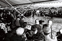 松本市で開催された第３回全日本ホルスタイン共進会会場を訪れ、熱心に牛を見る