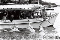 海女による素潜り漁を視察した際に、海女からサザエなどの獲物を受け取る浩宮さま、美智子さまと楽しげに見つめる皇太子さま。千葉県白浜町（現南房総市）で