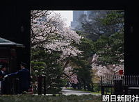 乾門の外側からから見た乾通り。手前は皇宮警察の警備派出所。門を額縁に見立てると、桜や松が描かれた日本画のような光景。丸の内側の高層ビルが絵の背景のよう
