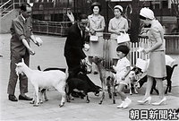 皇太子さま、浩宮さまが浜名湖に出かけている間、上野動物園を訪れた美智子さまと礼宮さま。後方左側でバスケットを手にした女性は牧野純子東宮女官長の後任として、４月に就任した松村淑子さん