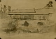 １９４８年元旦紙面用に公表された、ご自身で小金井の仮御所を写生した水彩画