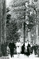 １１月、第７回全国身体障害者スポーツ大会のため和歌山県を訪問、高野山の杉並木を散策する皇太子さまと美智子さま