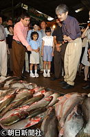 ウボンラーチャタニーの市場を見学される。秋篠宮さまは並べられた魚に興味津々の様子だ