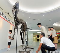 ８月、福井県勝山市の恐竜博物館を訪れ、恐竜のレプリカを興味深げに触る悠仁さまと見つめる秋篠宮さまと紀子さま、眞子さま