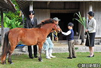 １２月、沖縄県沖縄市の沖縄こどもの国を訪れ、与那国馬の鼻をなでる悠仁さまと秋篠宮さま、紀子さま