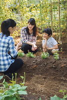 ８月、秋篠宮邸で野菜を栽培する眞子さまと佳子さま、悠仁さま