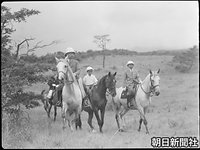 １９４７年８月、那須高原で乗馬を楽しむ昭和天皇と義宮さま、皇太子さま。義宮さまはスポーツマンで乗馬もお好き