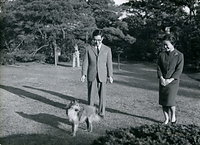 １１月に常陸宮さまが２９歳の誕生日を迎えるにあたって撮影された、宮邸の庭を愛犬モアナ号と散歩する常陸宮さまと華子さまの写真。モアナ号は津軽家から華子さんが連れてこられた