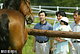 静養先の栃木県那須町で、同町共同利用模範牧場を訪れ、馬を間近に見つめる皇太子さまと愛子さまを抱かれた雅子さま