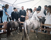６月、アルゼンチン館に立ち寄り、同国産の世界一小さな馬であるファラベラ・ポニーをなでる美智子さまと皇太子さま。１９７９年にはファラベラ・ポニーがアルゼンチンの大統領から皇太子さまに贈られている