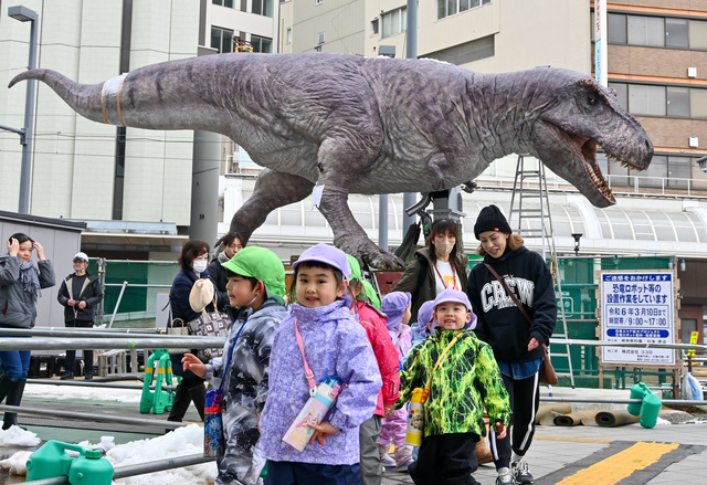 福井駅前で設置作業が進む恐竜ロボット=2024年1月30日午後、福井市中央1丁目、乗京真知撮影