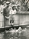 １９３８年　初めて上野動物園を訪れ、水禽舎の前で宮内省が撮影した写真