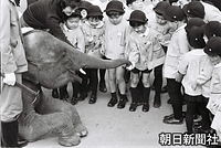 １１月、学習院幼稚園の遠足で上野動物園を訪れ、子象でアジアゾウのメナムにエサを与える浩宮さま。メナムは１９６４年に皇太子ご夫妻がタイを訪問した記念に、タイの日本留学生会から贈られ１９６５年に来園、２０