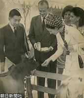 万博会場のアルゼンチン館で、世界一小さいポニーに「まあ、かわいい小馬ね。なんという名前なの」と話しかけ、エサを与える美智子さまとそれを見守る皇太子さま。ポニーは５月下旬、アルゼンチンから横浜市の「こど