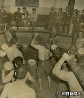 古式イラン体操を見学