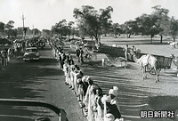 ニューデリーで、牛車やラクダに乗って車列の沿道に集まり歓迎する人たち