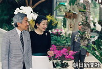 静岡県西伊豆町の「らんの里」を訪れ、可憐な蘭の花に見入る天皇、皇后両陛下