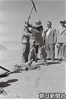 １０月、イラク北部のテル・サラサートで東京大学イラク・イラン遺跡調査団の発掘が始まり、鍬入れする三笠宮さま。中近東の遺跡を日本人が発掘する初めての試みだった