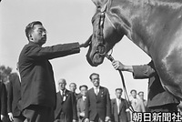 ２５日、長崎県南高来郡深江村（現・南島原市）の県種馬育成場では、馬の顔を見つめながら撫でられていた