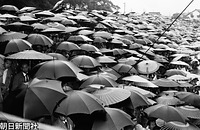 雨のなか、大分県民奉迎場となった大分球場に集まり昭和天皇を待つ人たち。コウモリ傘のほか、番傘も数多く見受けられる