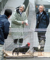かごの中の鶏について職員に話しかける秋篠宮さま＝０６年２月１６日、富山市古沢で