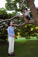 悠仁さま５歳に。木登りする悠仁さま＝１１年８月、赤坂御用地内、宮内庁提供